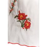 Nacar-Watts-Shorts-17876-6